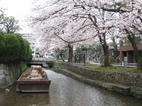 京都木屋町を流れる高瀬川沿いの桜並木の写真