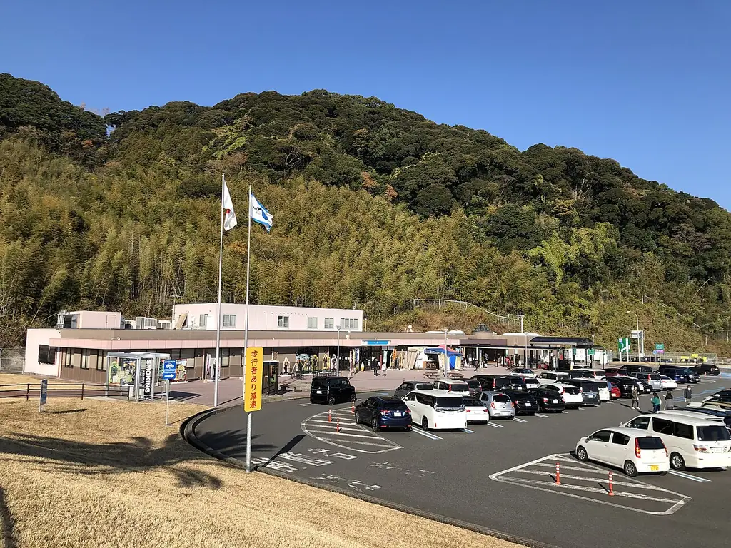 桜島サービスエリアの、白い横に長い建物と旗ざお、車の並ぶ駐車場と、うしろの竹林の山の写真