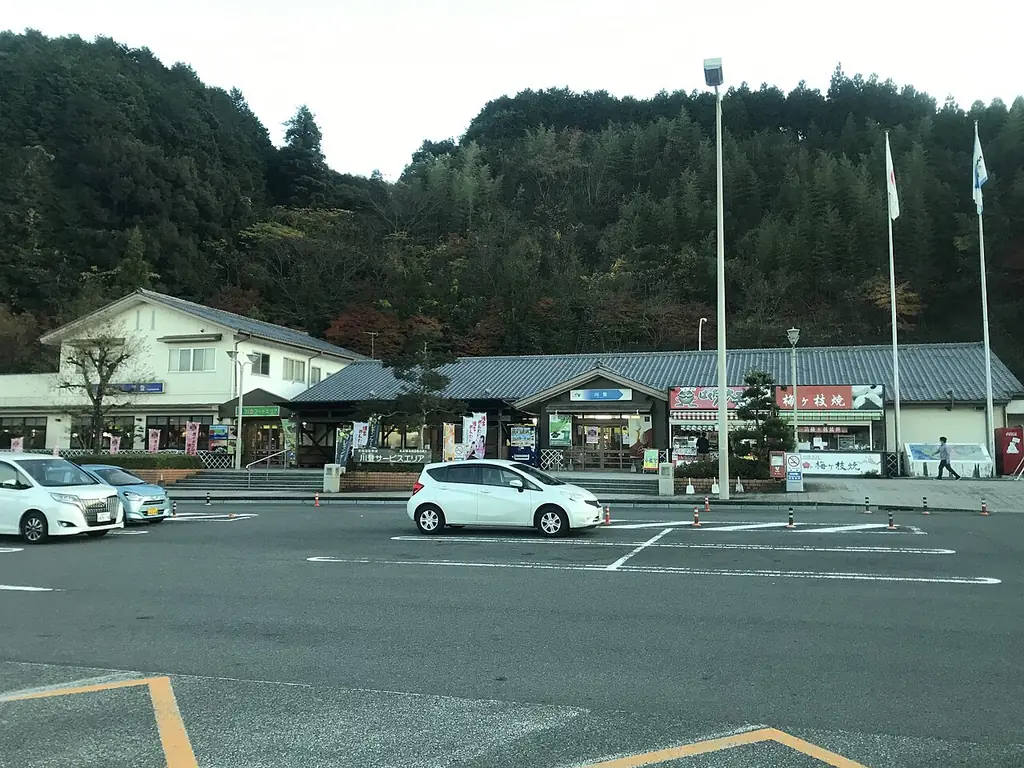 川登サービスエリアの、白い建物と旗ざお、手前の広い駐車場に止まる車と、うしろの森の写真