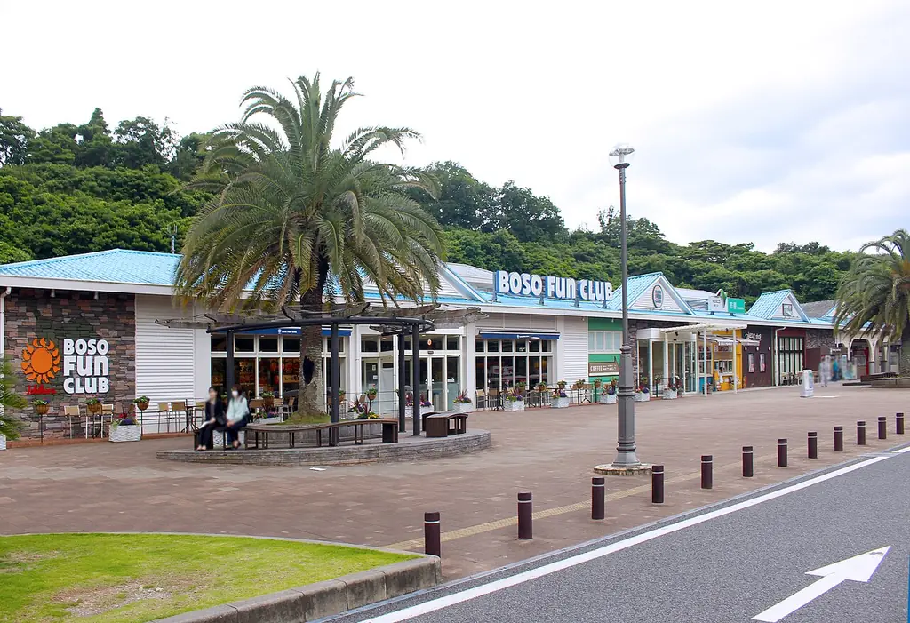市原サービスエリアの、「BOSO FUN CLUB」の看板が付いた建物とヤシの木、前の広場の写真