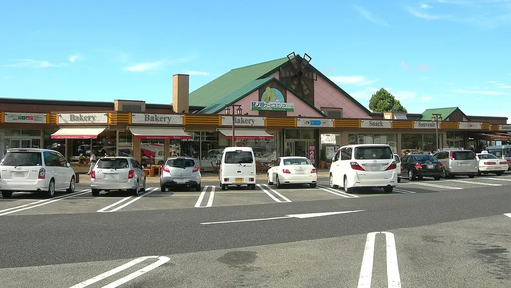 紀ノ川サービスエリアの、緑の三角屋根の建物と横に並ぶ店、手前の駐車場に止まる車の写真