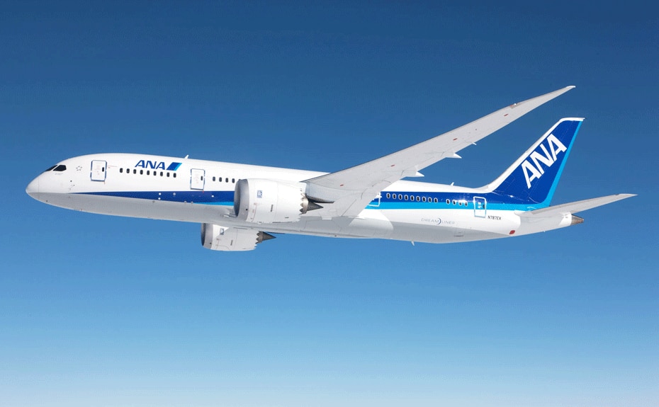空を飛ぶANAの旅客機