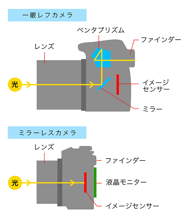 一眼レフとミラーレスの構造の違いを光の通り道で示した図