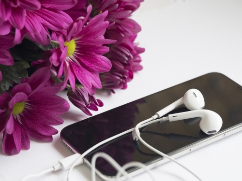 ピンクの花のそばに置いたスマートフォンと白い有線イヤホン