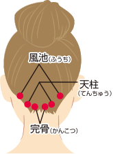 後頭部にある風池と天柱と完骨のつぼの位置を示したイラスト