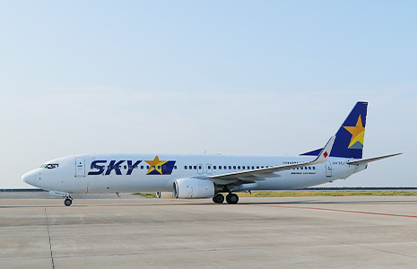 駐機場にいるスカイマークの旅客機