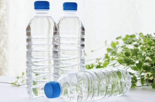 水の入ったペットボトル3本と観葉植物