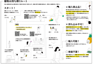 植物を持ち帰るときの手続きの流れを示したチャート図