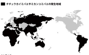チチュウカイミバエやミカンコミバエの発生地域を黒く塗った世界地図