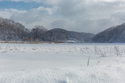 雪におおわれた北海道の湖と林