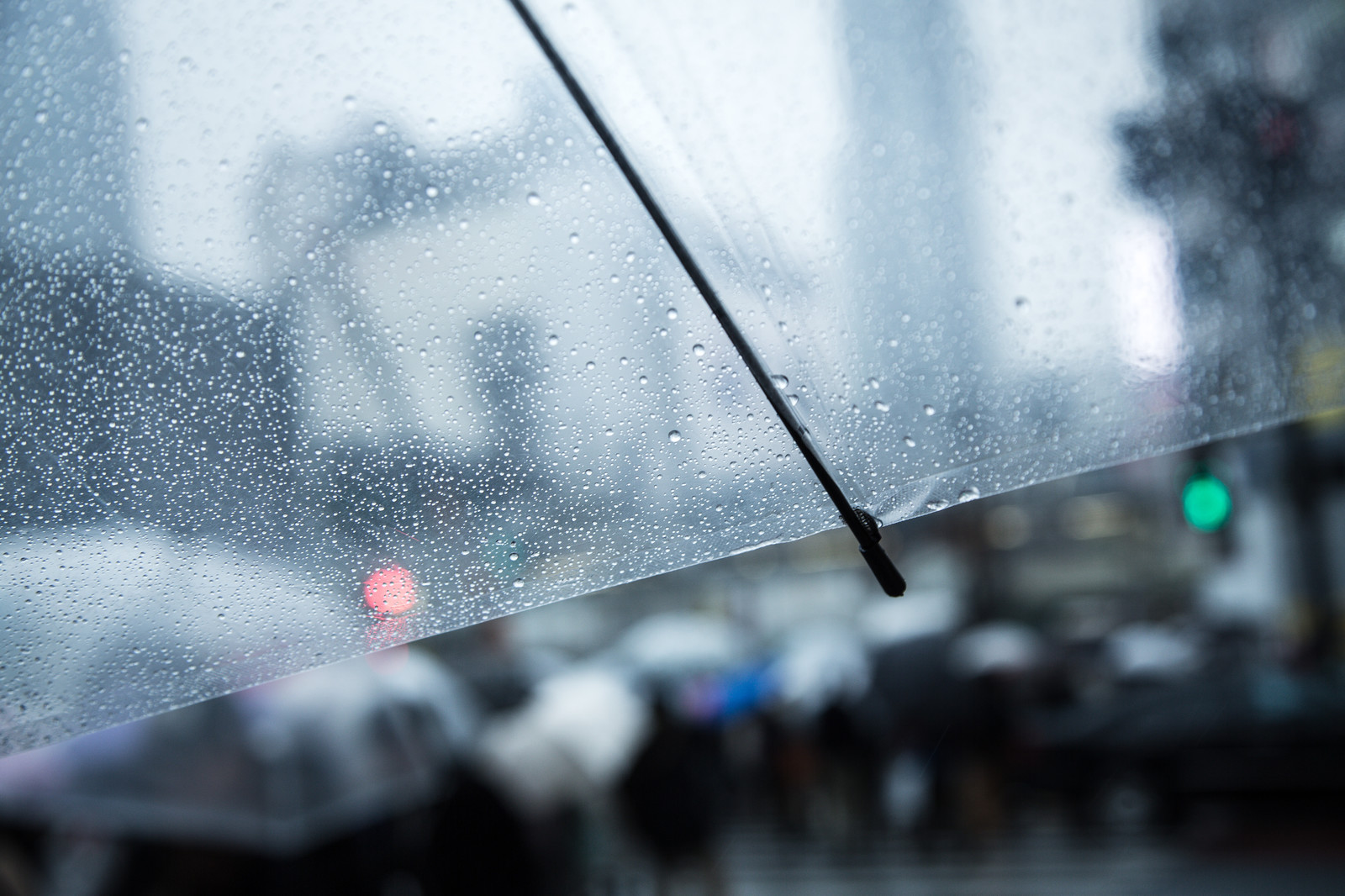 雨粒のついた傘ごしに見える街の明かり