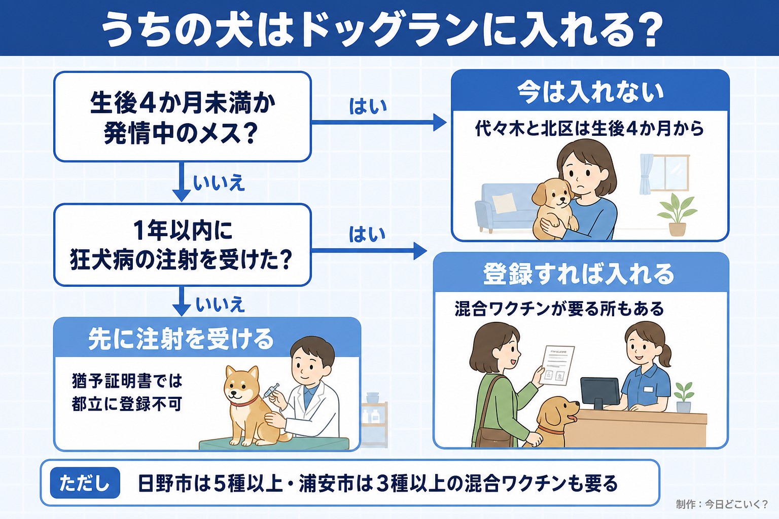 うちの犬はドッグランに入れる？。生後4か月未満か発情中のメス？。1年以内に狂犬病の注射を受けた？。今は入れない。代々木と北区は生後4か月から。登録すれば入れる。混合ワクチンが要る所もある。先に注射を受ける。猶予証明書では都立に登録不可。ただし 日野市は5種以上・浦安市は3種以上の混合ワクチンも要る。今日どこいく？が作ったイラスト図解（はい／いいえの判定）