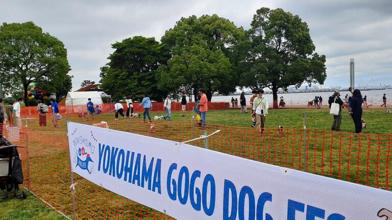 OMO3施設の愛犬プランは犬1頭無料？大型犬は横浜だけ