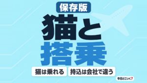 飛行機の機内に猫を持ち込む方法とは？料金や乗り方を解説！