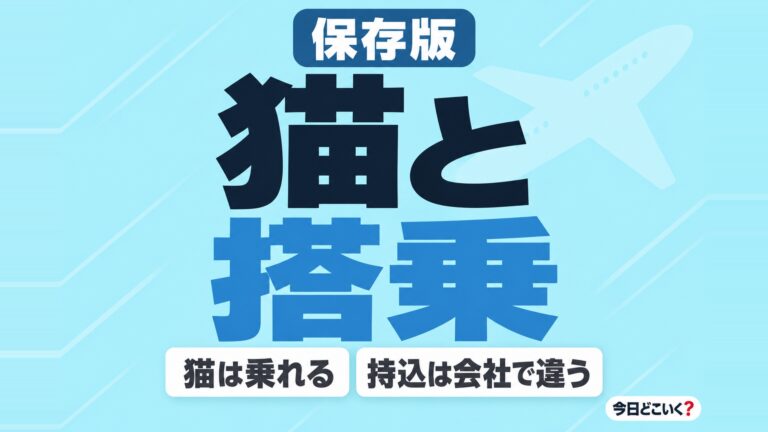 飛行機の機内に猫を持ち込む方法とは？料金や乗り方を解説！