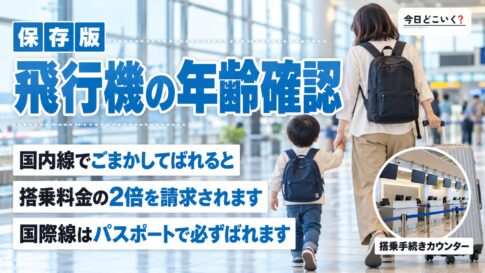 飛行機に乗る時３歳を２歳とごまかせる？ばれるとどうなるの？　図の中の文字: 飛行機の年齢確認、国内線でごまかしてばれると、搭乗料金の2倍を請求されます、国際線はパスポートで必ずばれます