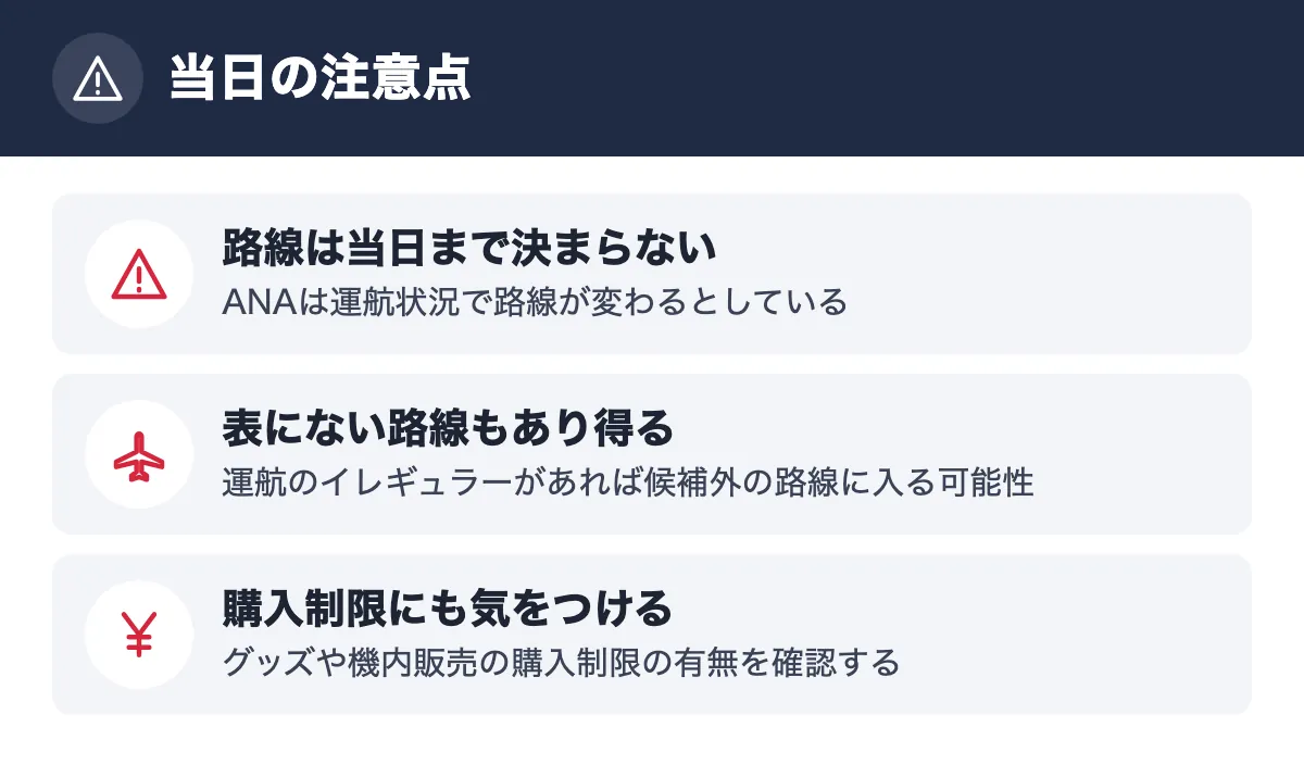 当日の注意点。路線は当日まで決まらない ANAは運航状況で路線が変わるとしている/表にない路線もあり得る 運航のイレギュラーがあれば候補外の路線に入る可能性/購入制限にも気をつける グッズや機内販売の購入制限の有無を確認する