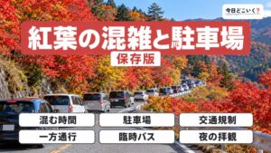 紅葉の混雑は何時から？名所15か所の駐車場と交通規制2026年