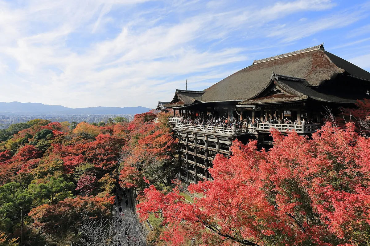清水寺の本堂（清水の舞台）と紅葉