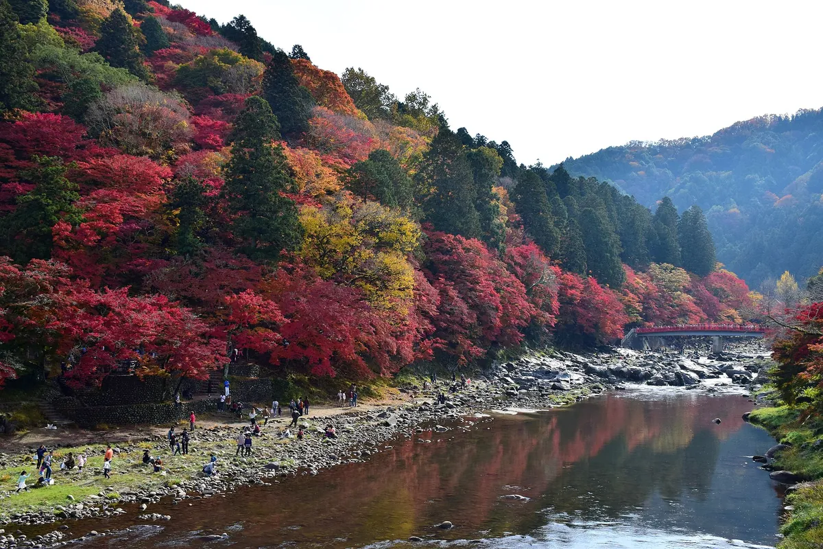 香嵐渓の巴川と赤く色づいた飯盛山