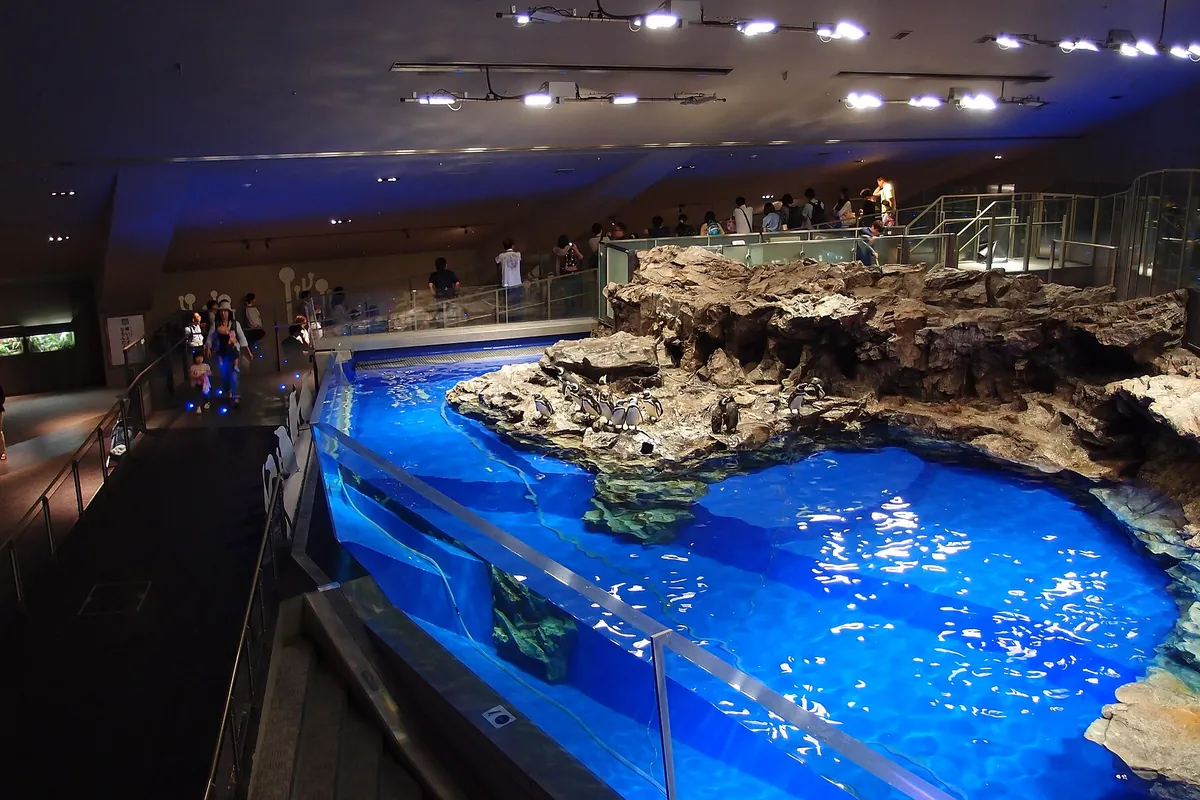 水族館の館内で、岩場にペンギンが並び青く照らされた大きな水槽を来館者が見学している様子の写真