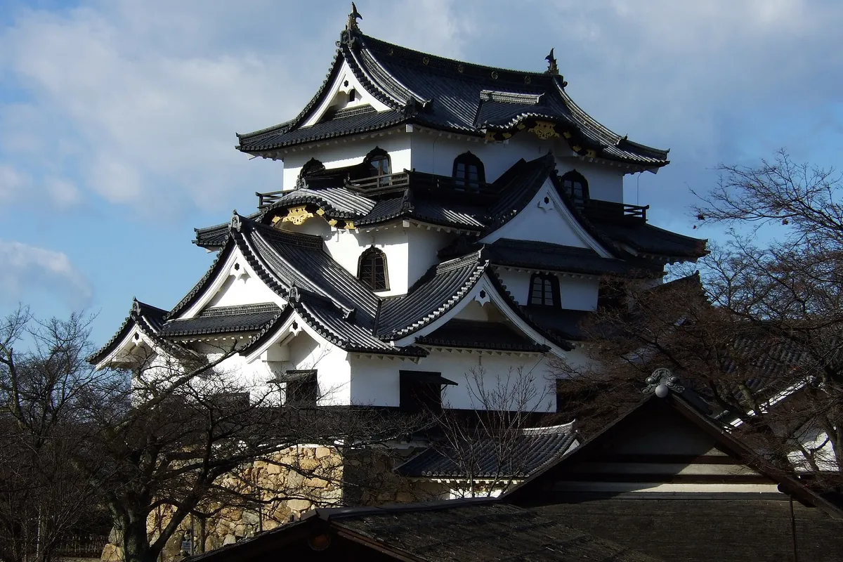 彦根城の天守を見上げた写真で、白壁と黒い瓦屋根が重なる姿が写っている