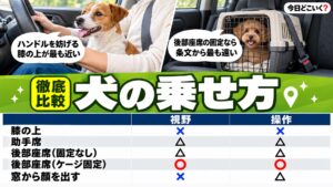 犬を車に乗せるのは違反？膝の上や助手席など5通りの乗せ方と道交法