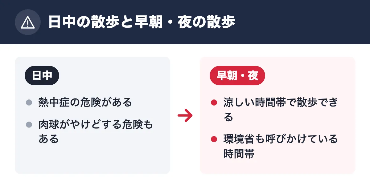 日中の散歩と早朝・夜の散歩。日中：熱中症の危険がある／肉球がやけどする危険もある。早朝・夜：涼しい時間帯で散歩できる／環境省も呼びかけている時間帯