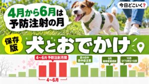 犬とおでかけは何月に注意？暑さとマダニと注射の時期を公式10ページで