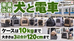 犬と電車に乗るルールと料金は？ケースの大きさと重さを鉄道7社で比較