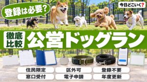 ドッグランの利用登録は必要？市外OKや無料の公営8か所を比べた