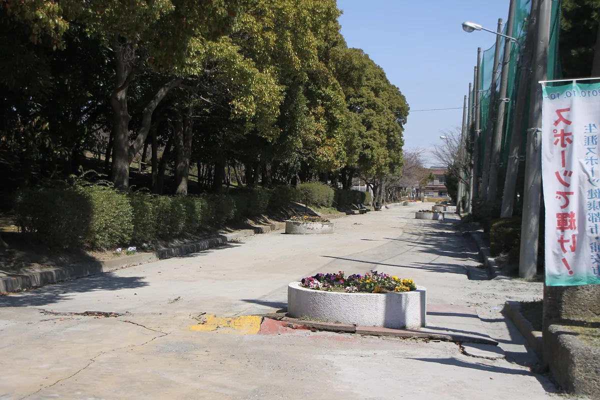 街路樹の並木道の脇に花壇や案内幕が設置された公園内の舗装通路の写真