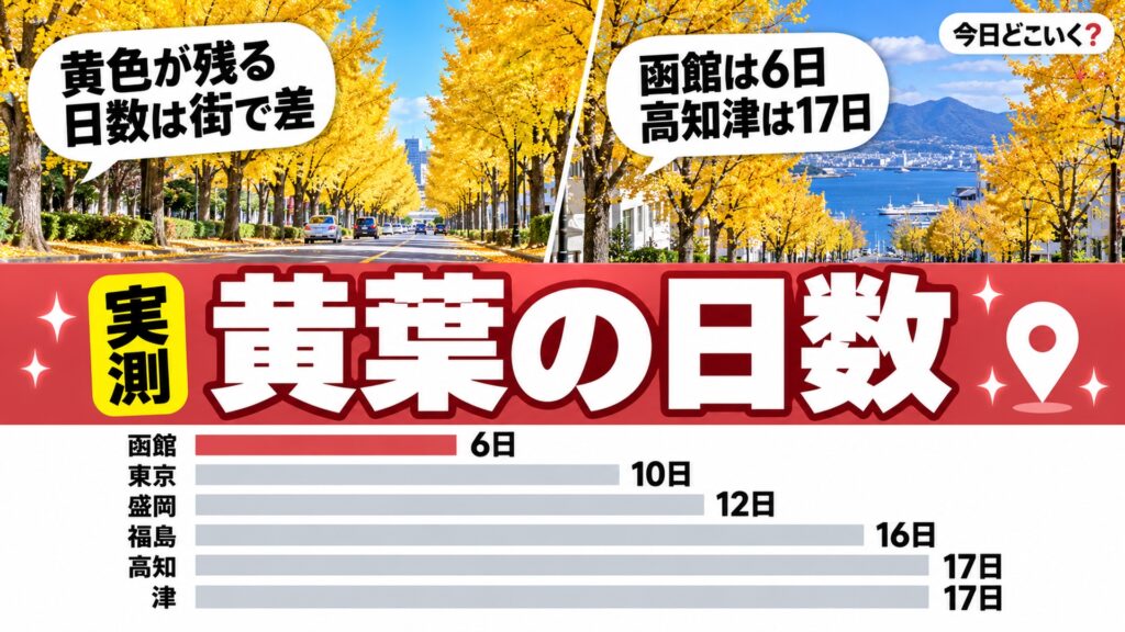 いちょう並木の見頃は11月下旬が最多の23地点、散るまで最短6日　図の中の文字: 黄色が残る、日数は街で差、函館は6日、高知津は17日、函館 6日、東京 10日