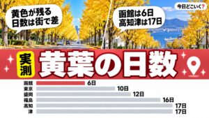 いちょう並木の見頃は11月下旬が最多の23地点、散るまで最短6日