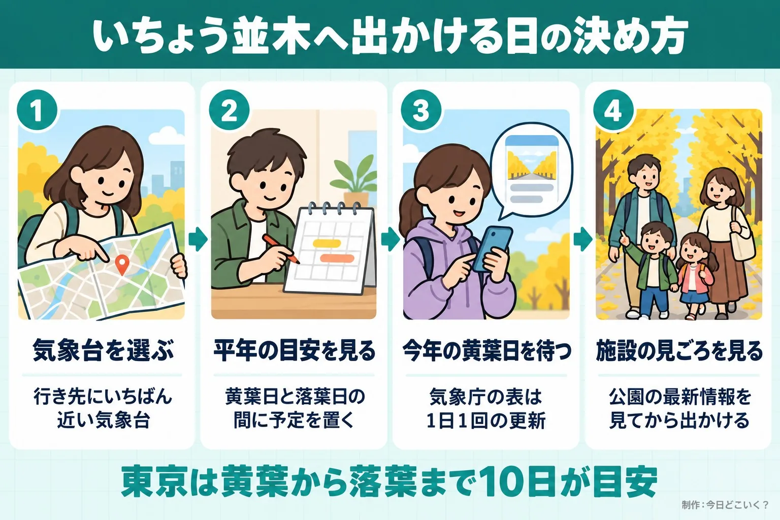 いちょう並木へ出かける日の決め方。気象台を選ぶ。行き先にいちばん近い気象台。平年の目安を見る。黄葉日と落葉日の間に予定を置く。今年の黄葉日を待つ。気象庁の表は1日1回の更新。施設の見ごろを見る。公園の最新情報を見てから出かける。東京は黄葉から落葉まで10日が目安。今日どこいく？が作ったイラスト図解（横並びの手順コマ）