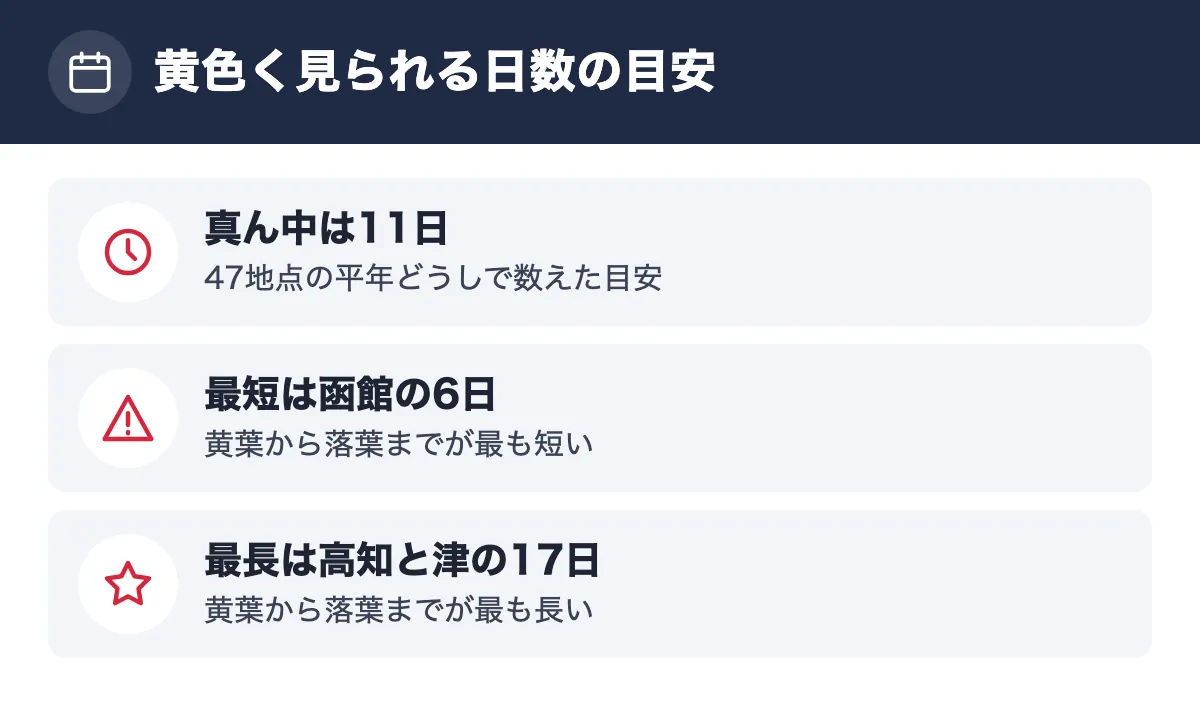 黄色く見られる日数の目安。真ん中は11日 47地点の平年どうしで数えた目安／最短は函館の6日 黄葉から落葉までが最も短い／最長は高知と津の17日 黄葉から落葉までが最も長い