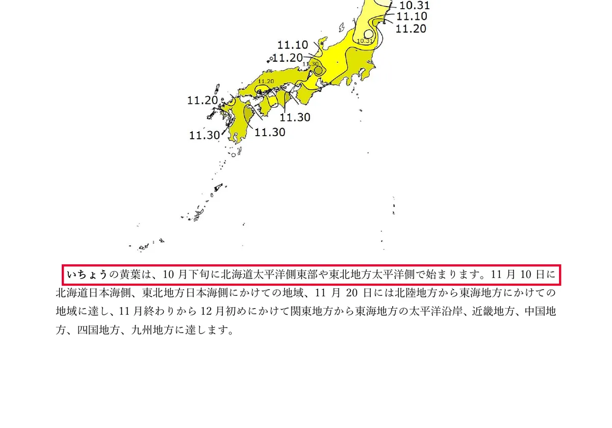 気象庁のいちょうの黄葉日の等期日線図（1991～2020年平年値） (PDF)の画面。赤い枠の中は「いちょうの黄葉は、10月下旬に北海道太平洋側東部や東北地方太平洋側で始まります。11月10日に」
