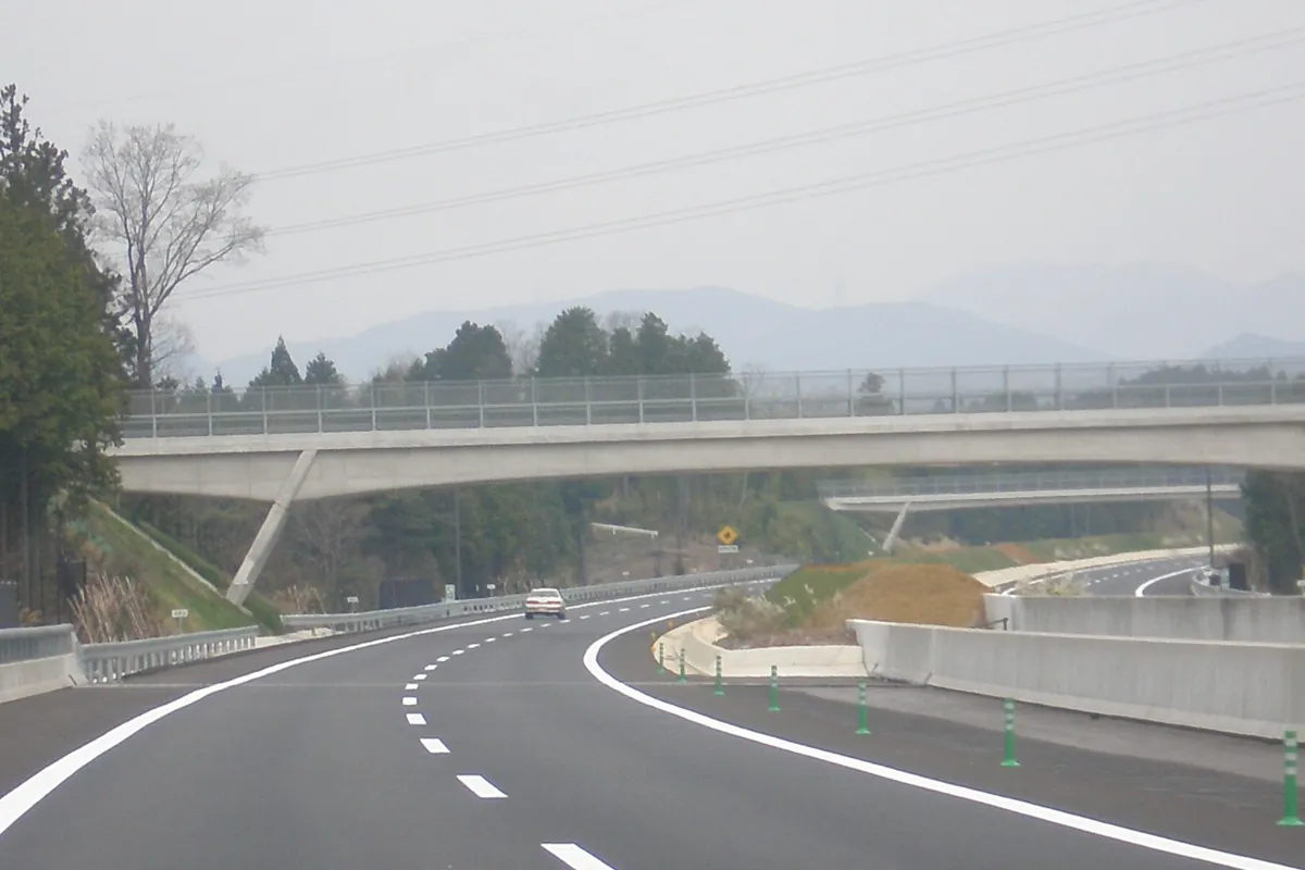 高速道路で高架橋の下を走る車線と緑色のパイロンが並ぶ走行風景の写真