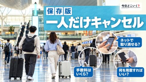 飛行機は一人だけキャンセルできる？受付場所や必要なものをご紹介！　図の中の文字: 一人だけキャンセル、ネットで取り消せる？、手数料はいくら？、何を用意すればいい？