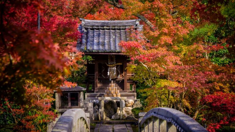 北陸の紅葉の見頃は立山の標高1,630〜1,930mで週末は晴れ