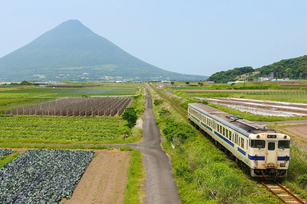 開聞岳を背景に、畑が広がる田園地帯を走る指宿枕崎線のディーゼル列車の写真