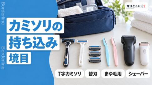 飛行機にカミソリは持ち込める？T字と替刃で分かれる10社の扱い　図の中の文字: カミソリの持ち込み、T字カミソリ、替刃、まゆ毛用、シェーバー