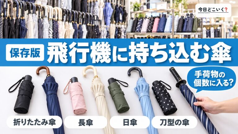 飛行機の持ち込み荷物に傘があって大丈夫？疑問や注意点を解説！