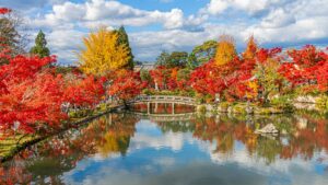 京都の紅葉ライトアップ2026は夜8か所の予約が1,200円から