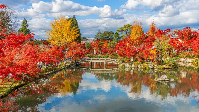 京都の紅葉ライトアップ2026は夜8か所の予約が1,200円から