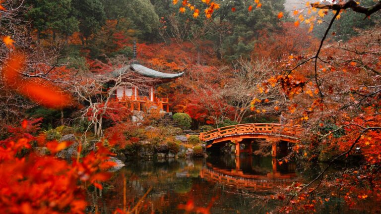 京都の紅葉の拝観は特別拝観13寺がEX会員限定で1,200円から