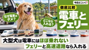 大型犬とおでかけできる場所は？電車とドッグランは10kgで分かれる