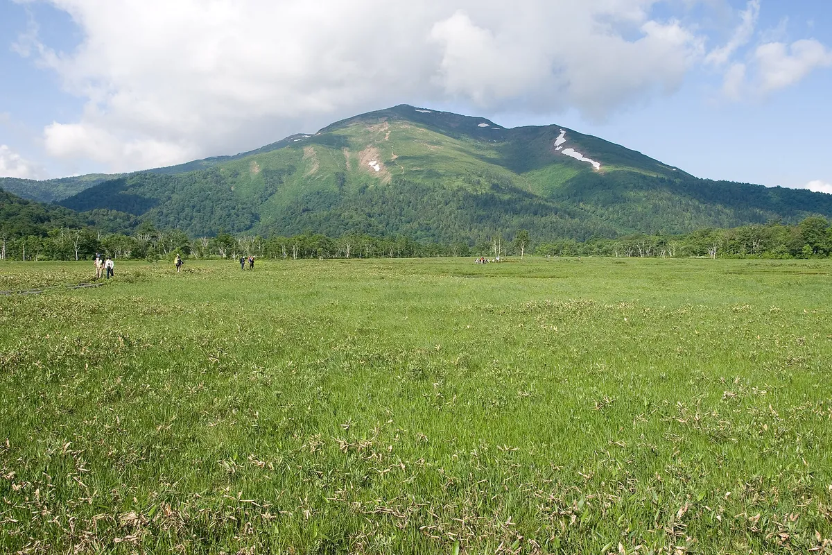 残雪の残る至仏山を背景に、尾瀬ヶ原の湿原の草地を登山者が数人歩いている様子の写真