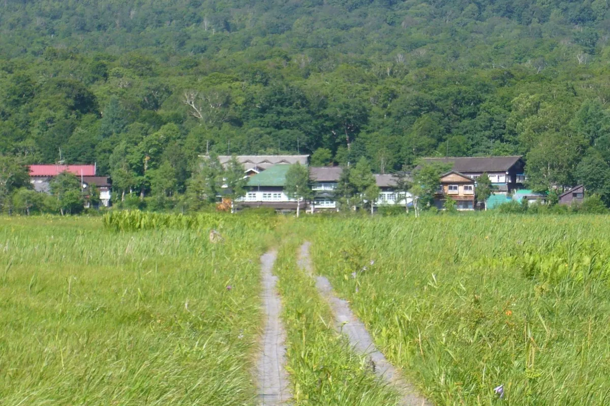 緑の尾瀬ヶ原に続く木道の先に、森を背にした見晴十字路の山小屋群が並ぶ様子の写真