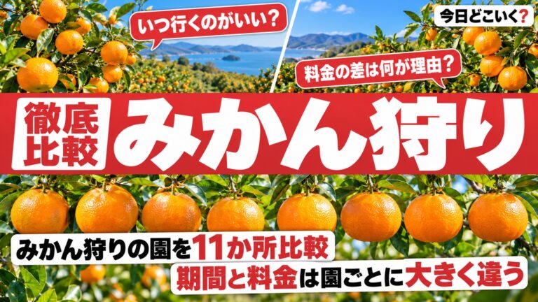 みかん狩り2026の時期と料金は11か所で違い大人は500円から